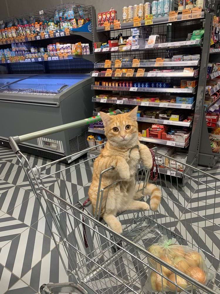 image-20240621135917-4