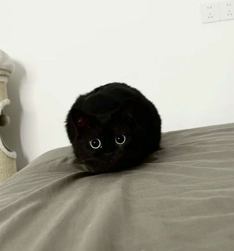 image-20240621135922-5