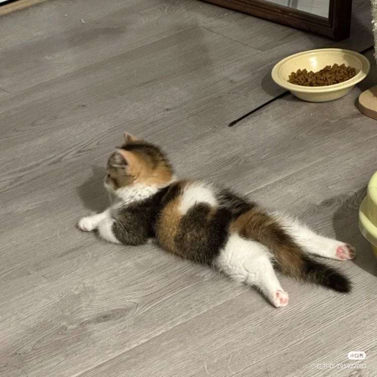 image-20240621135925-6