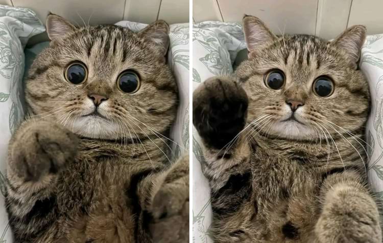 image-20240621135930-8