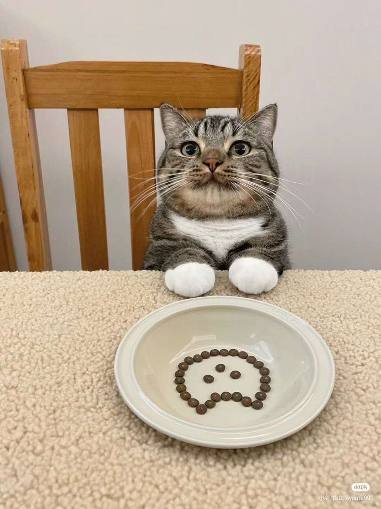 image-20240621135937-10