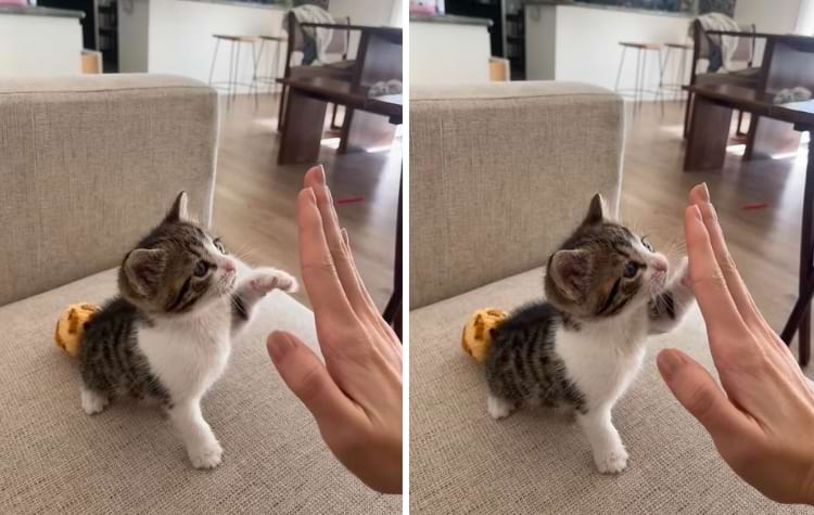 image-20240621135943-12