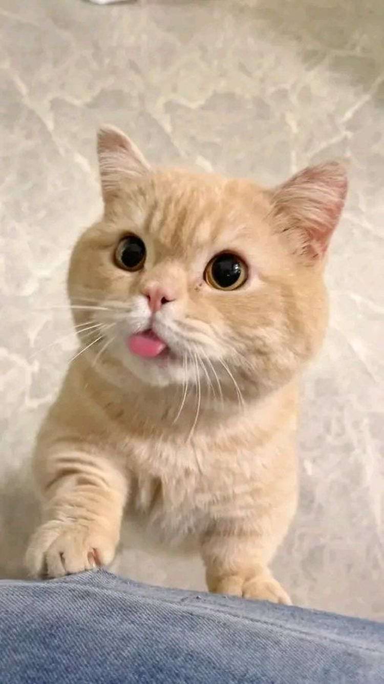 image-20240621135947-13