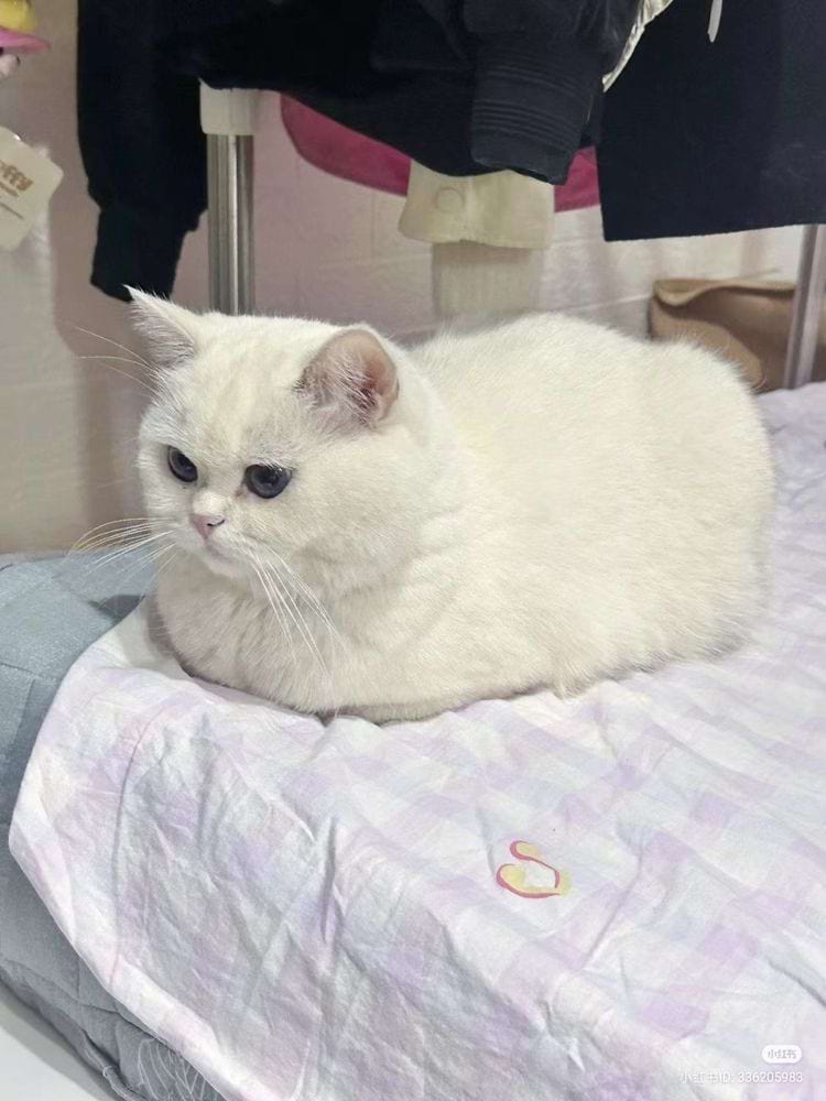 image-20240621135951-14