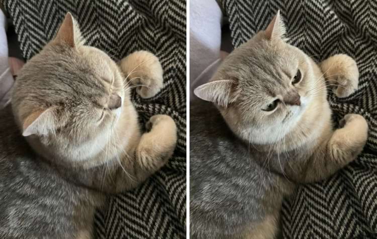 image-20240621135953-15