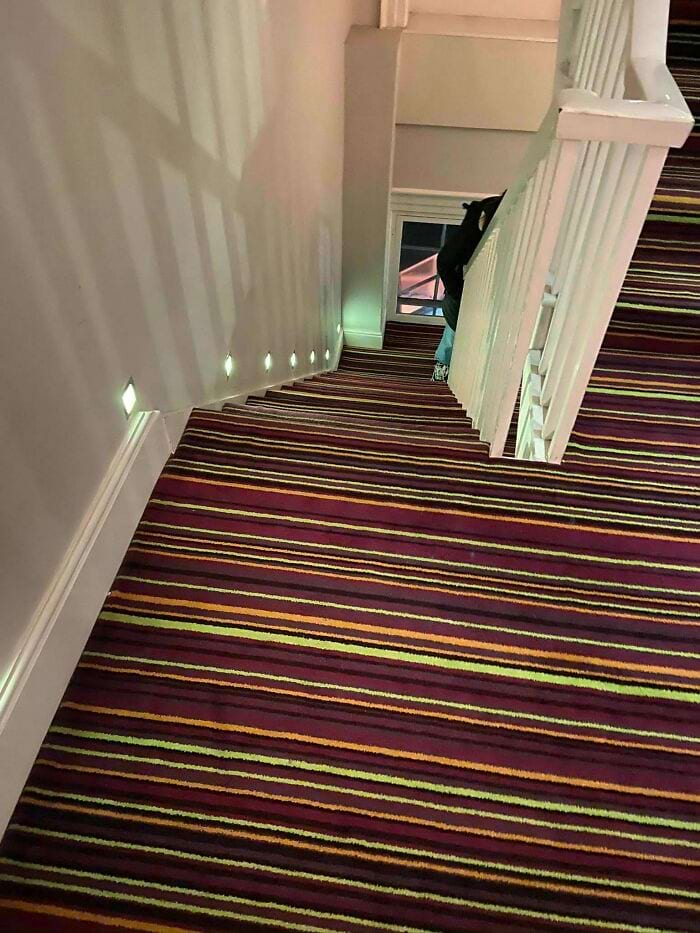 image-20240624122214-11