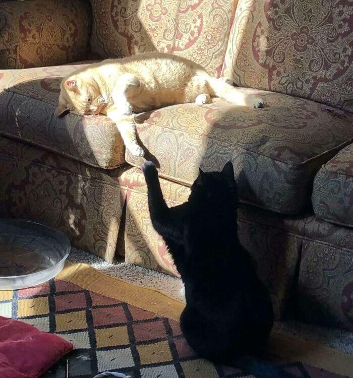 image-20240624164200-5