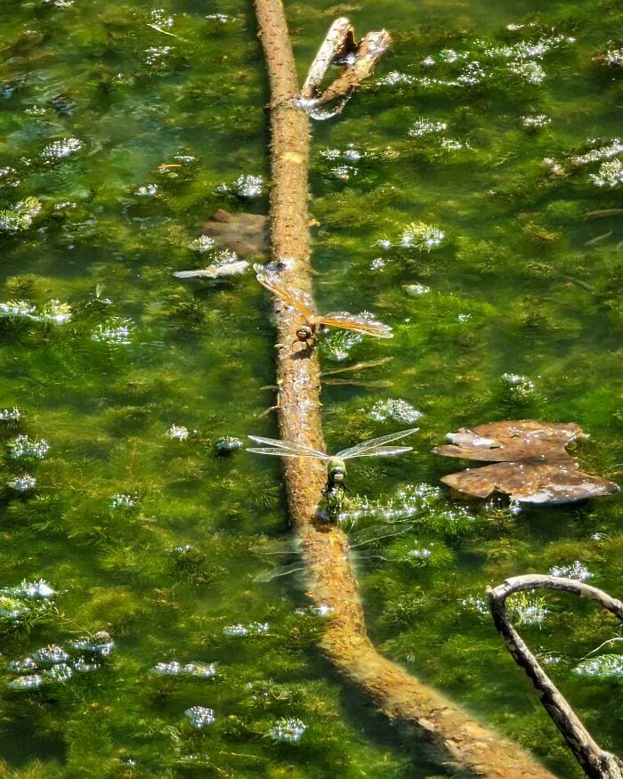 image-20240624164208-8