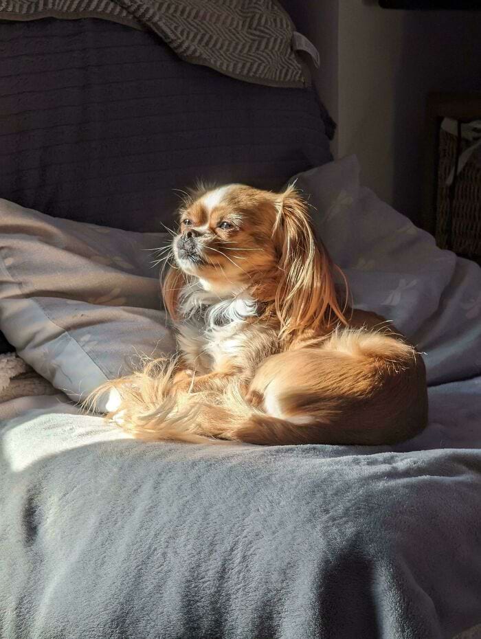 image-20240624164212-9