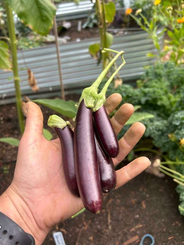 image-20240626122944-4