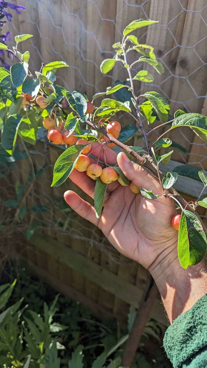 image-20240626122952-5