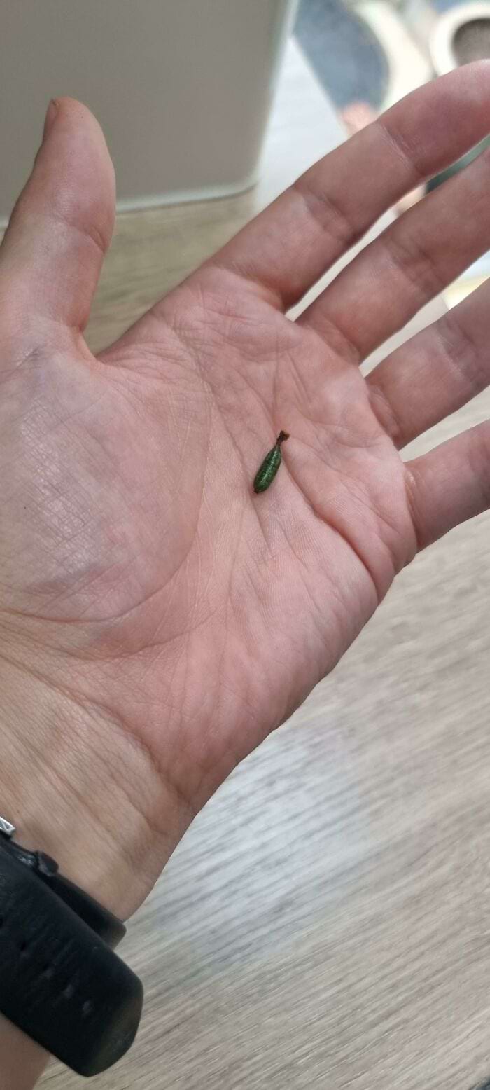 image-20240626122955-6