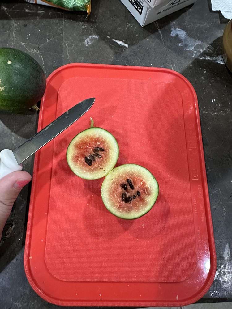 image-20240626123029-10