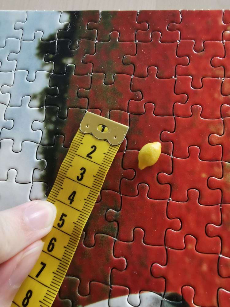 image-20240626123032-11