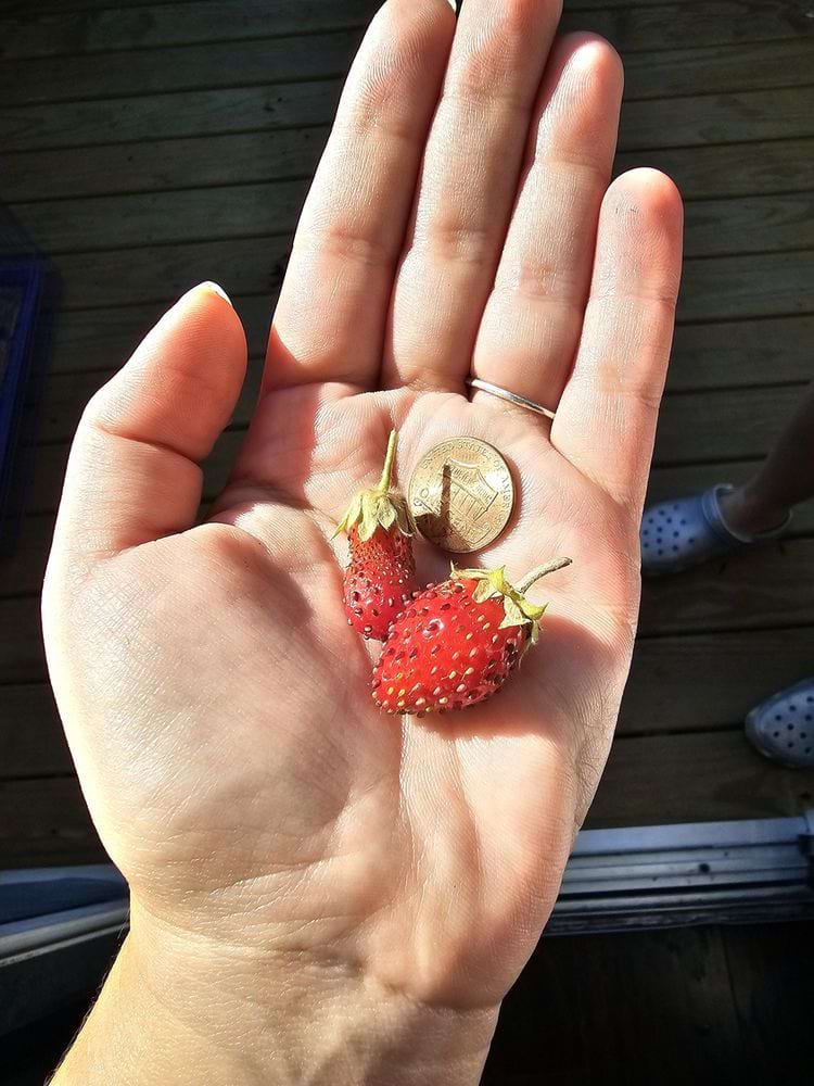 image-20240626123035-12