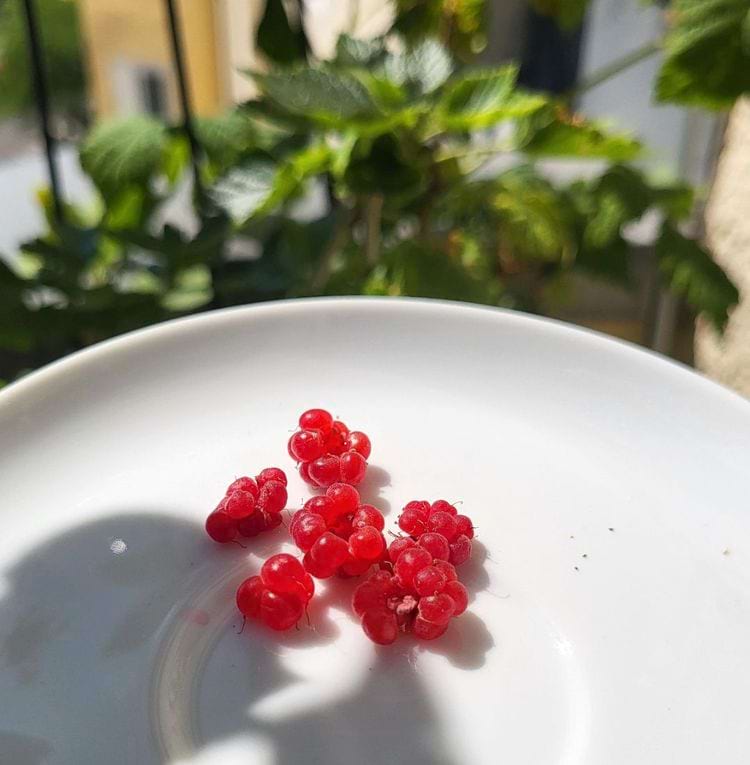 image-20240626123039-13