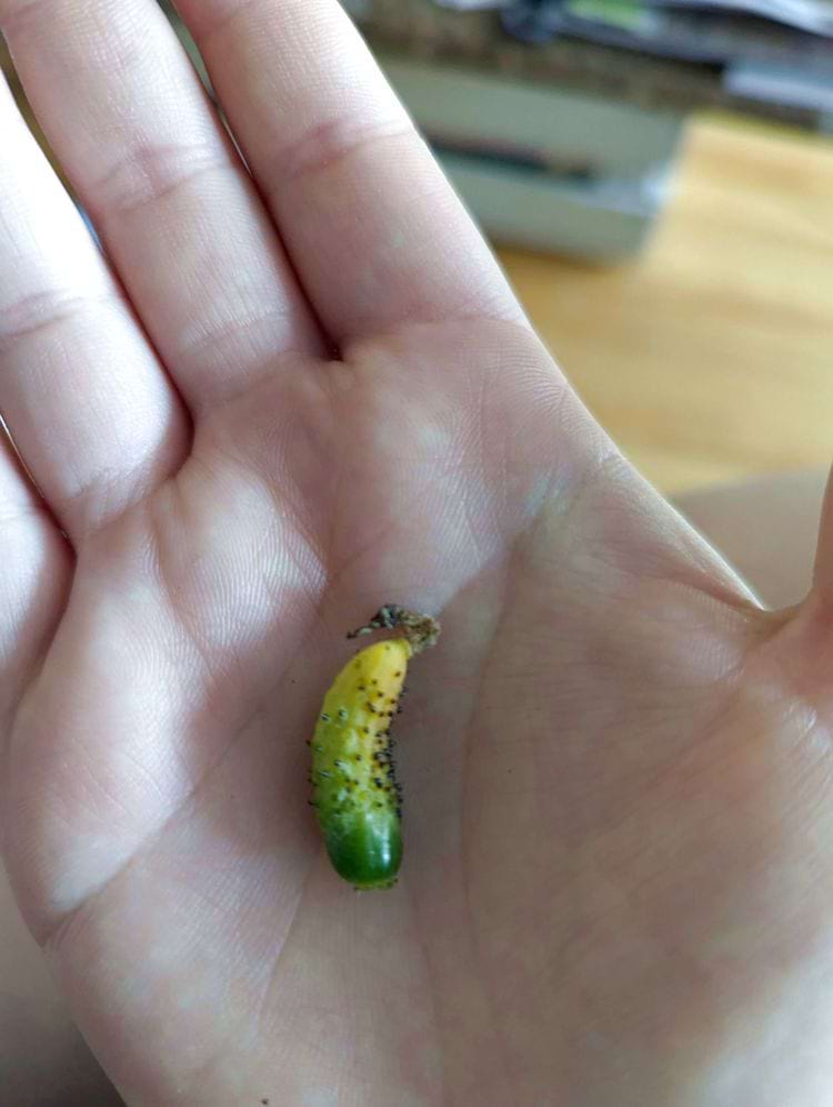 image-20240626123132-15