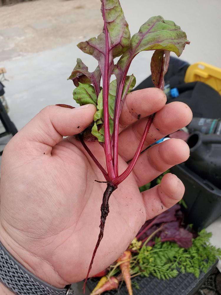 image-20240626123146-16