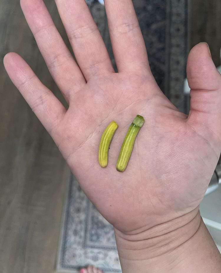 image-20240626123151-17