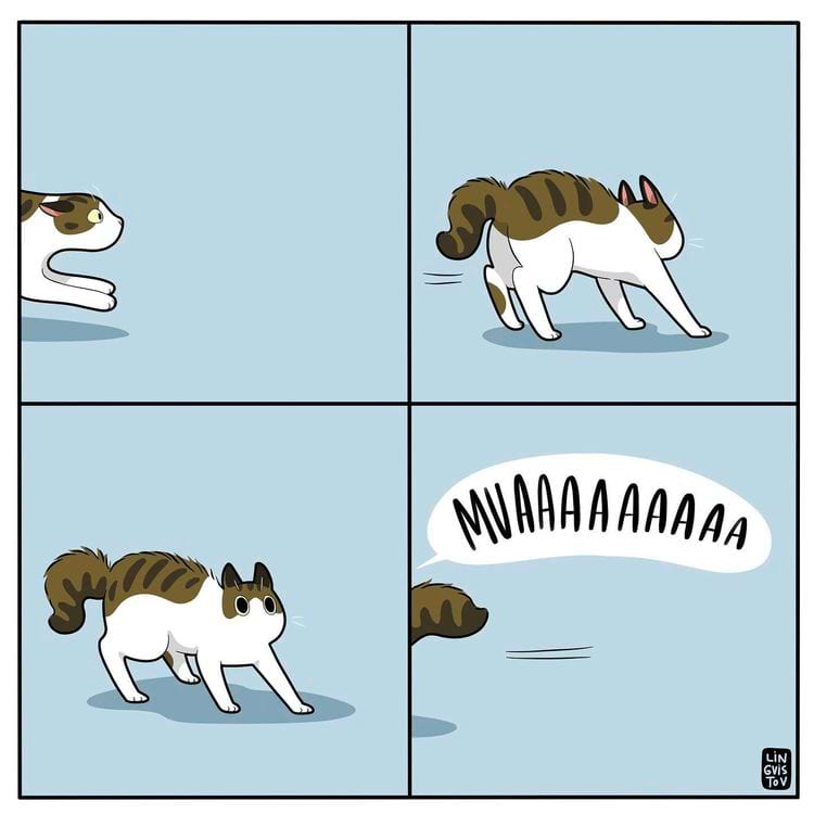 image-20240627114123-1