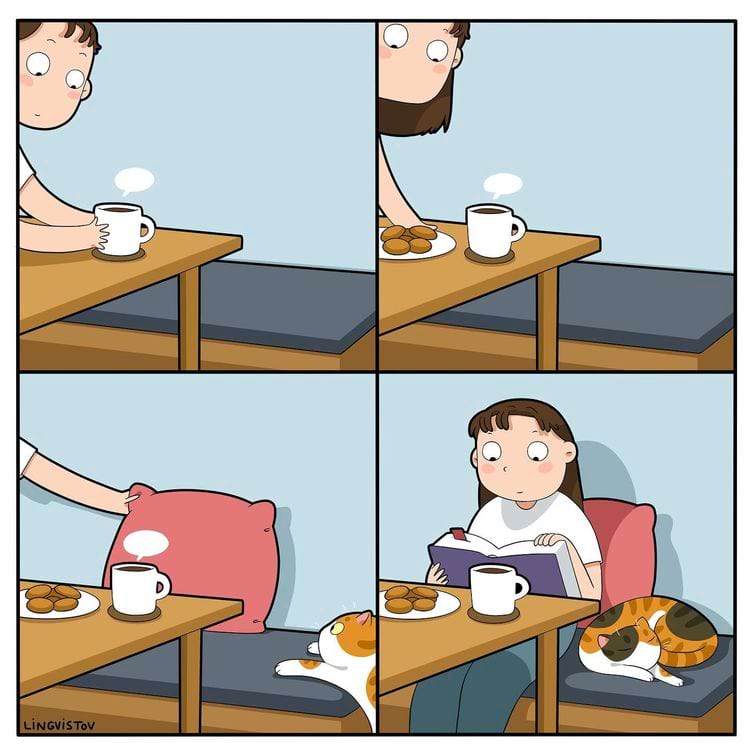 image-20240627114140-7