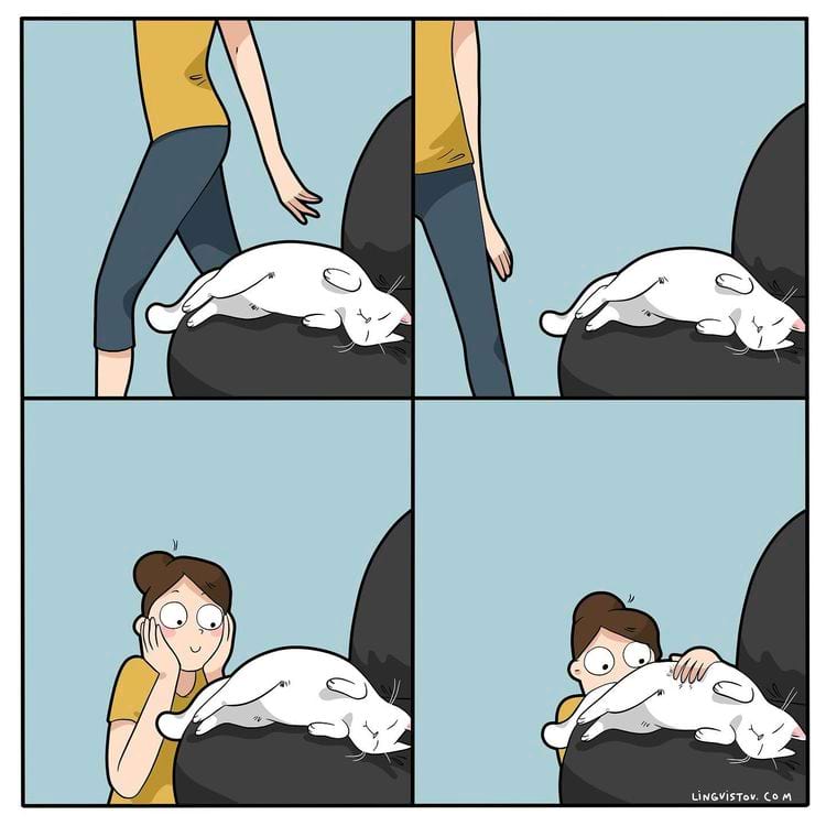 image-20240627114147-9