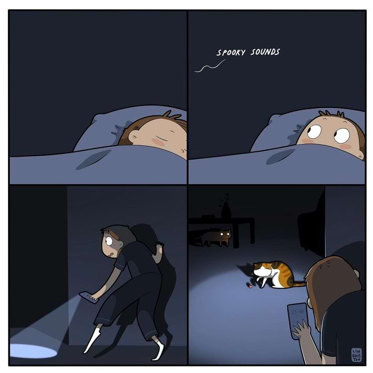 image-20240627114202-14