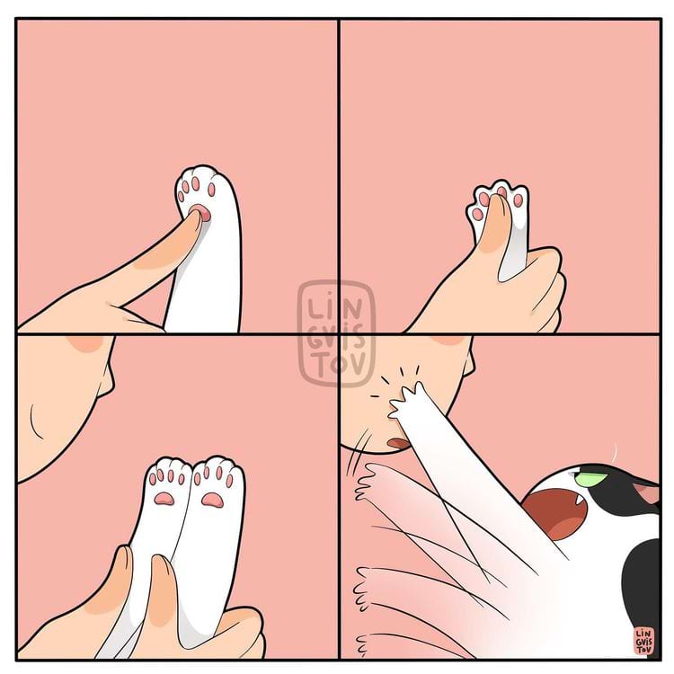 image-20240627114205-15