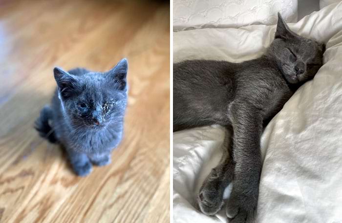 image-20240701145031-13