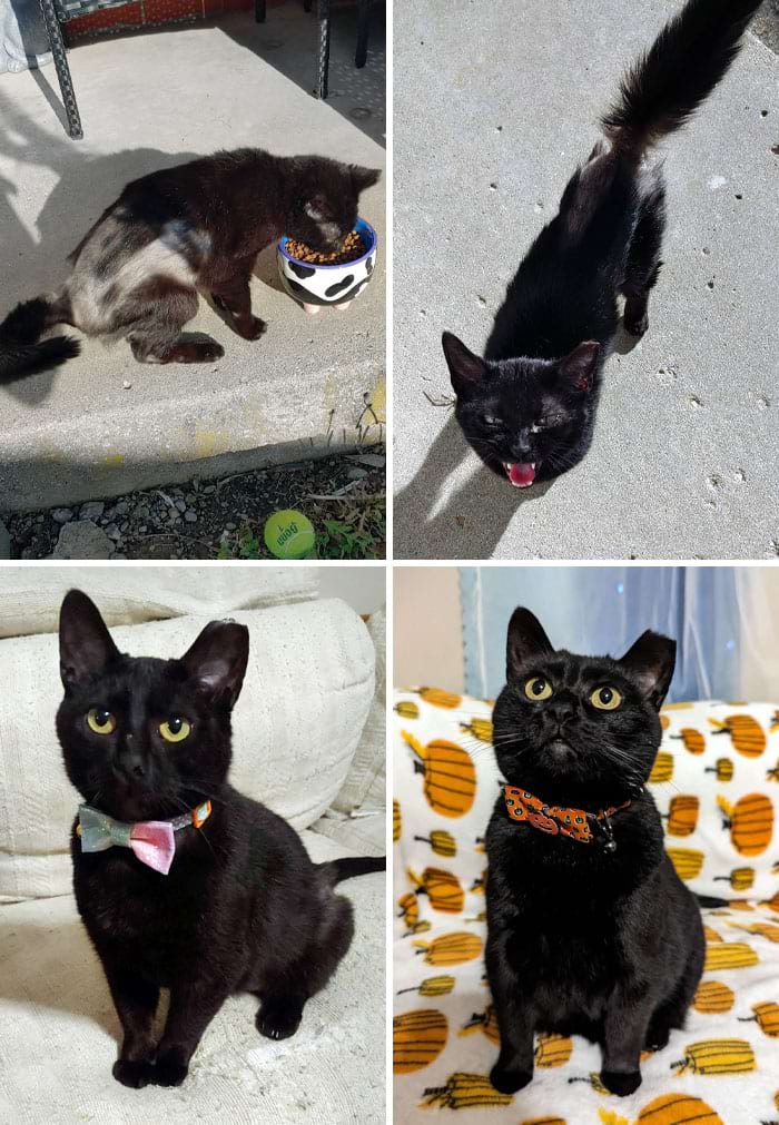 image-20240701145033-14