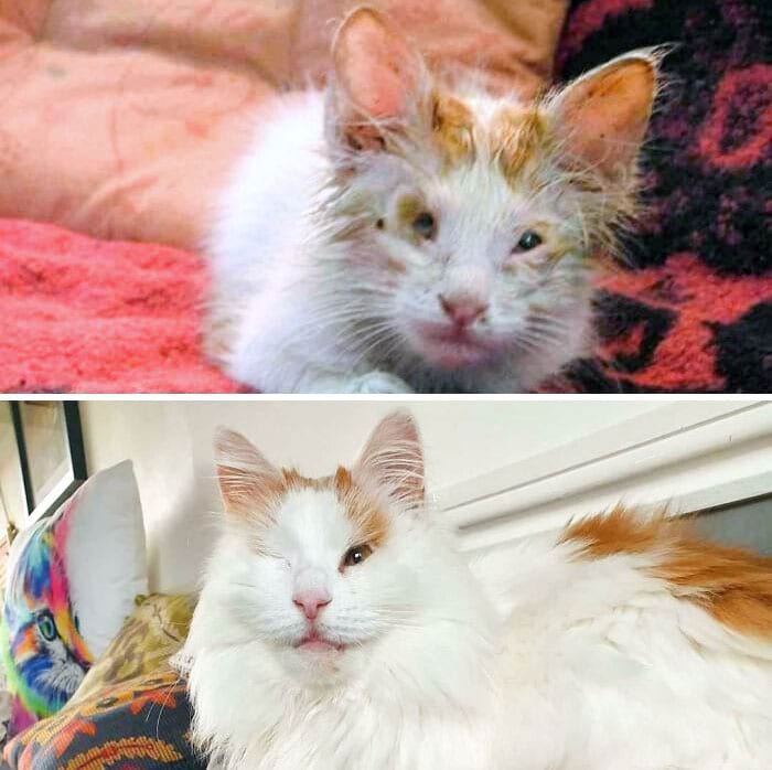 image-20240701145040-16