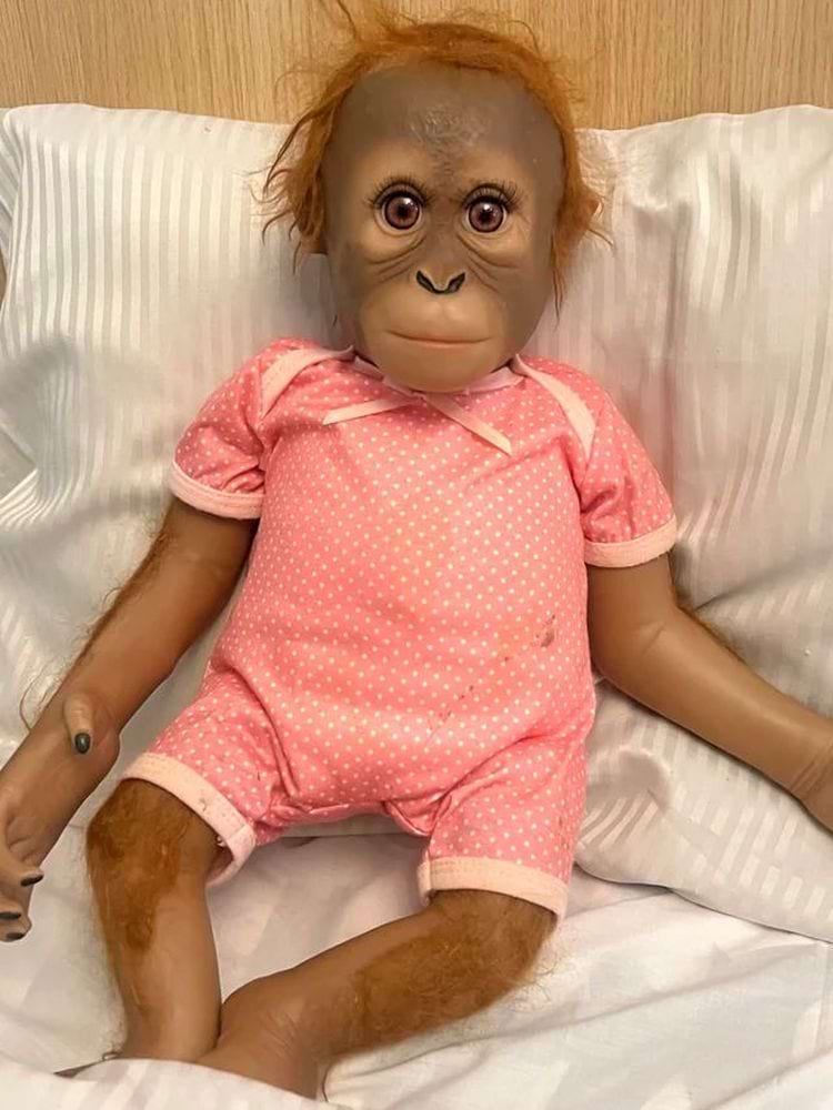 image-20240702133236-12