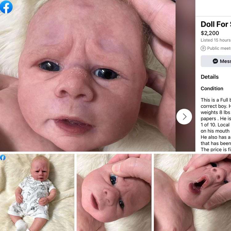 image-20240702133244-15