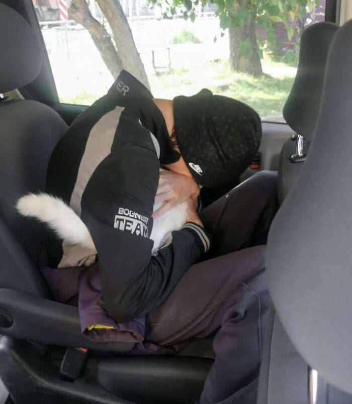 image-20240708153211-1