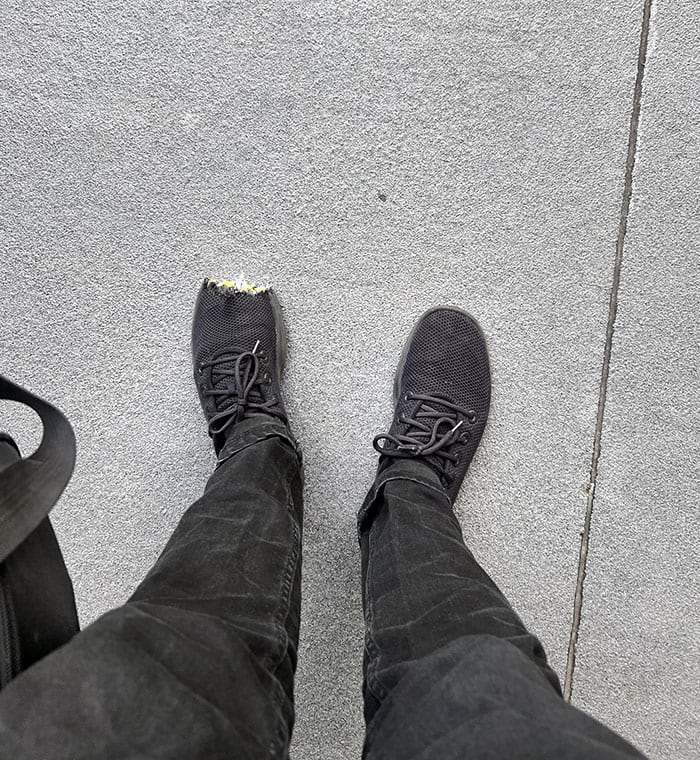 image-20240708153239-10