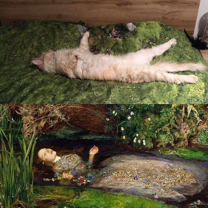 image-20240708164834-2