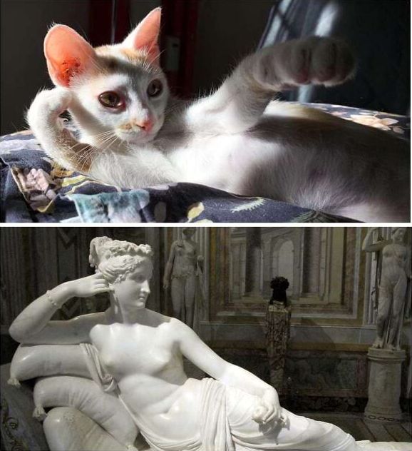 image-20240708164847-3