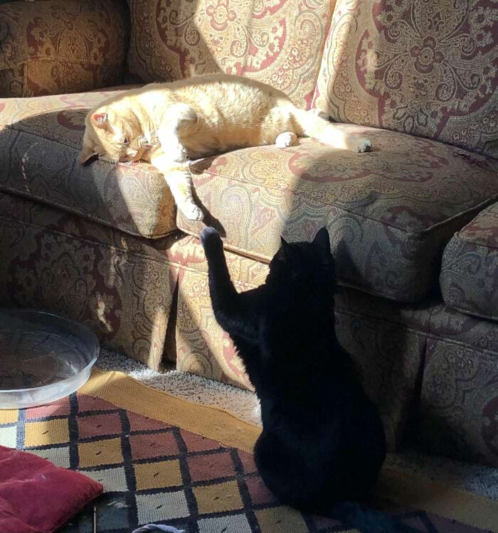 image-20240708164850-4