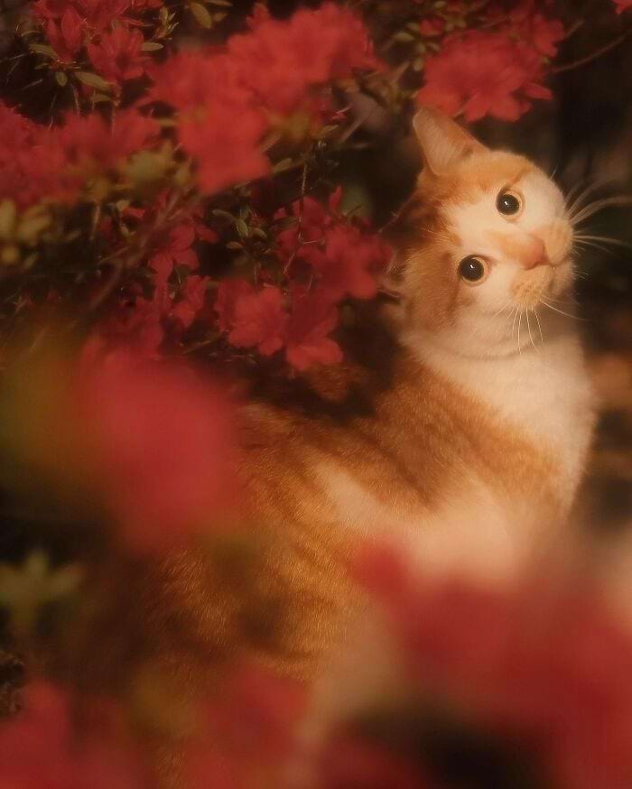 image-20240708164854-5