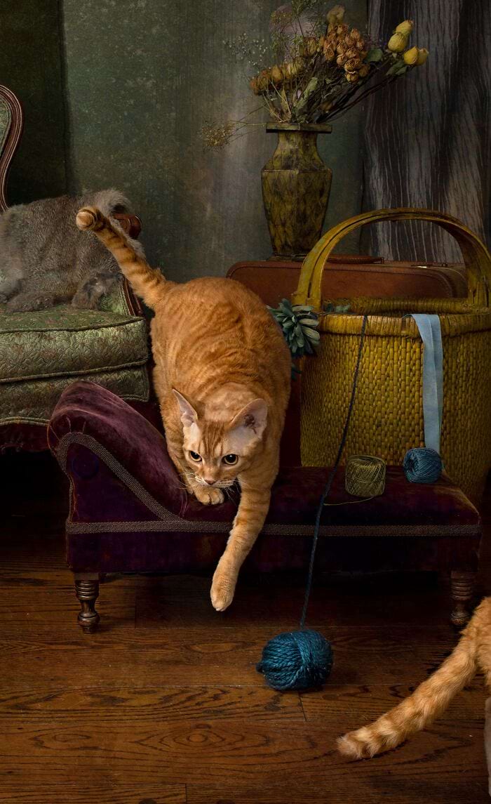 image-20240708164905-8