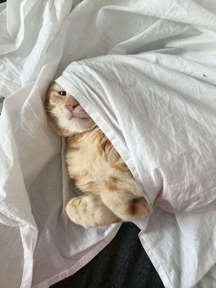 image-20240708164908-9