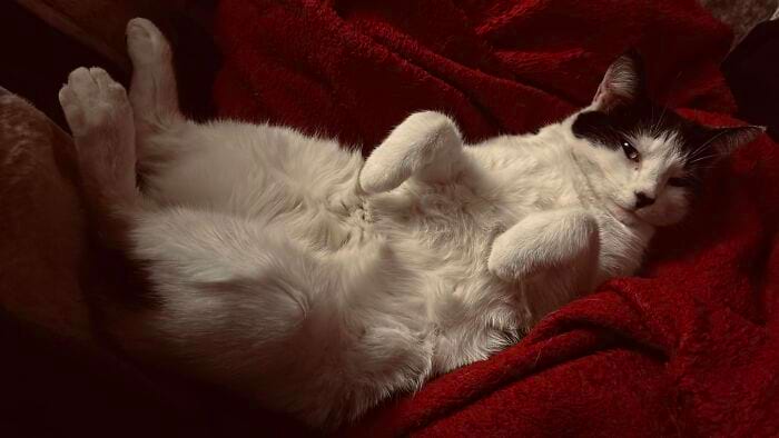 image-20240708164915-11