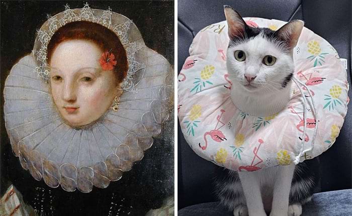 image-20240708164918-12