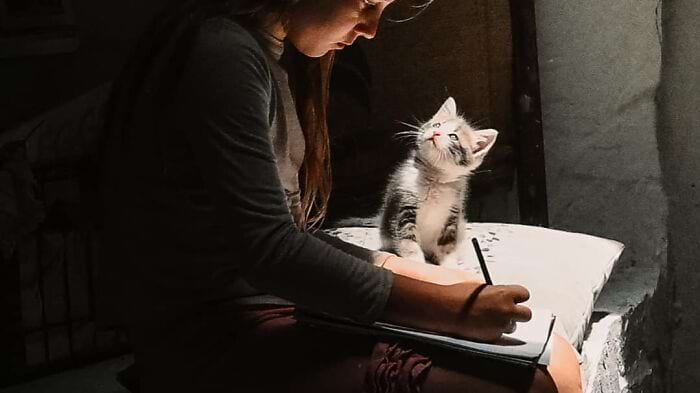 image-20240708164920-13