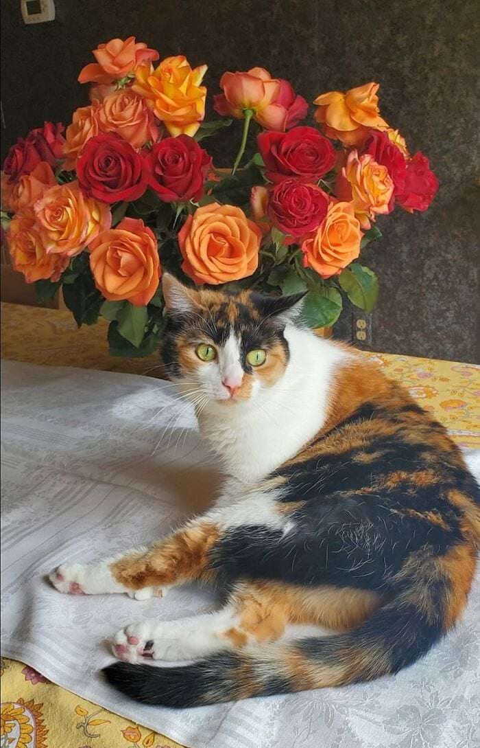 image-20240708164924-14