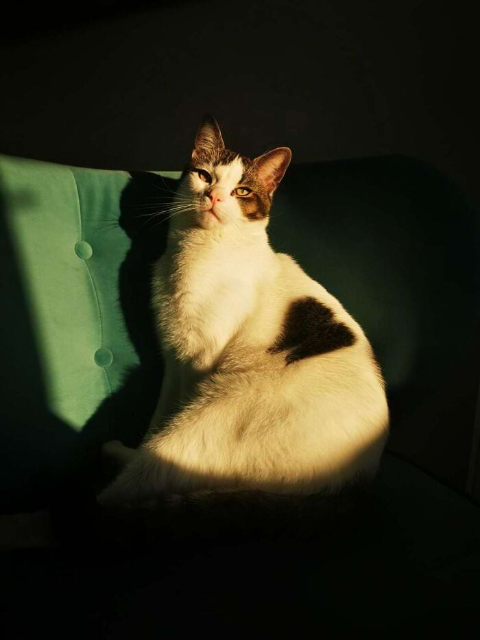 image-20240708164927-15