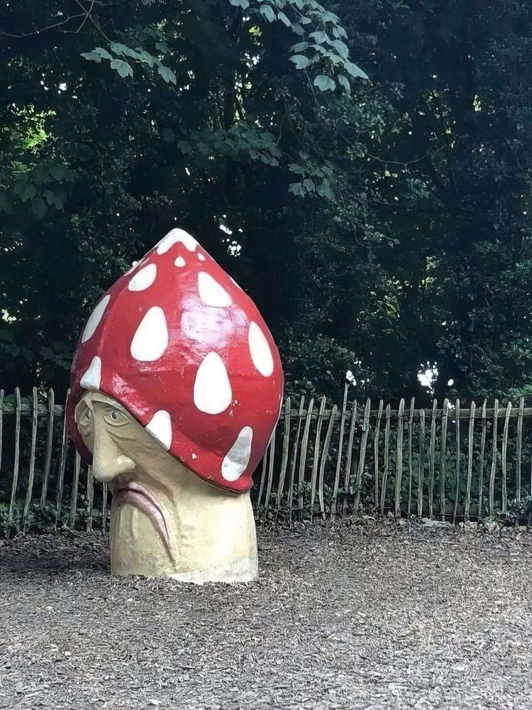 image-20240709115053-5