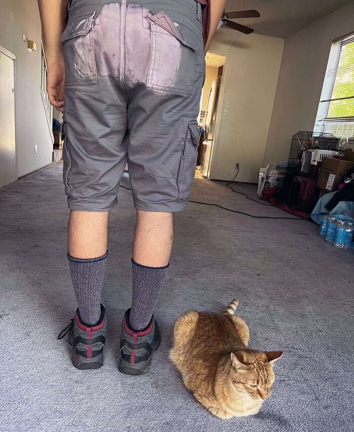 image-20240709140216-6