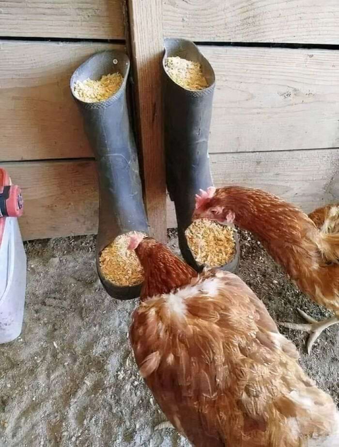 image-20240709155451-5