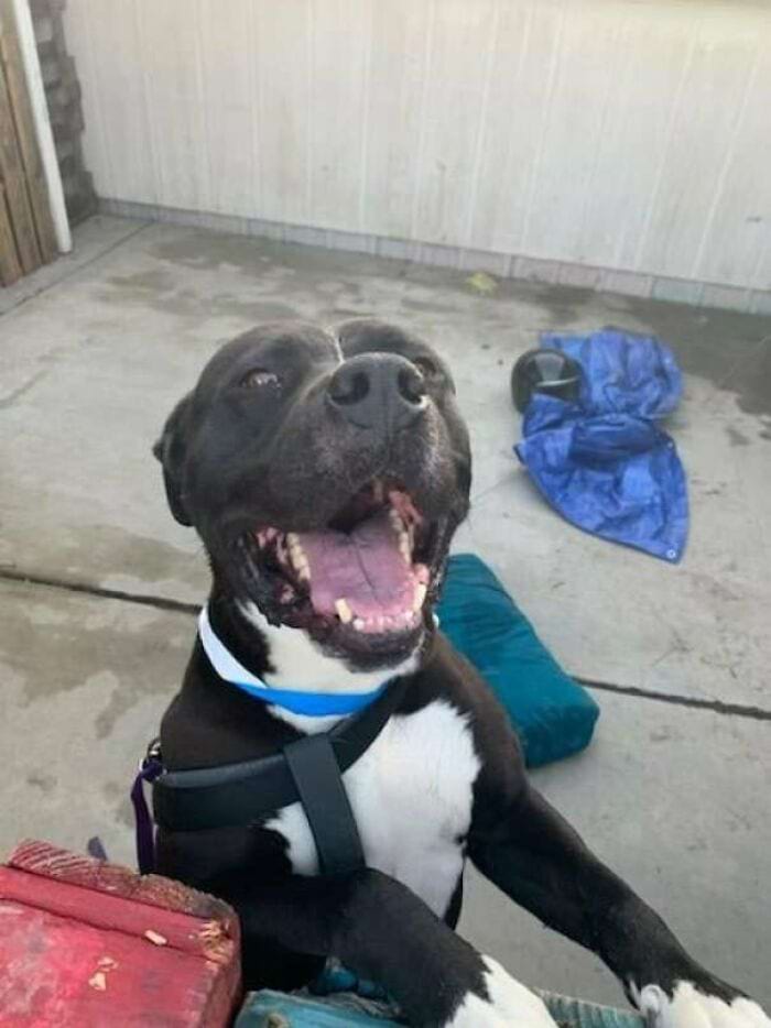 image-20240709170045-4